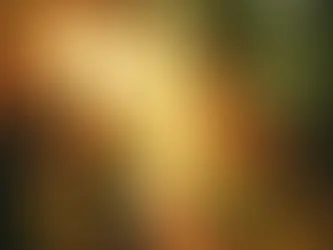 5 Practices for Emotional Resilience