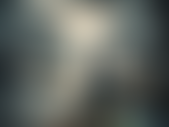 Facing the Unknown: The Lone Wolf's Journey Through Uncertainty