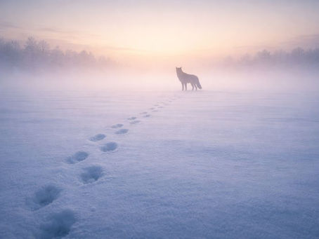 The Quiet That Reveals What People Hide