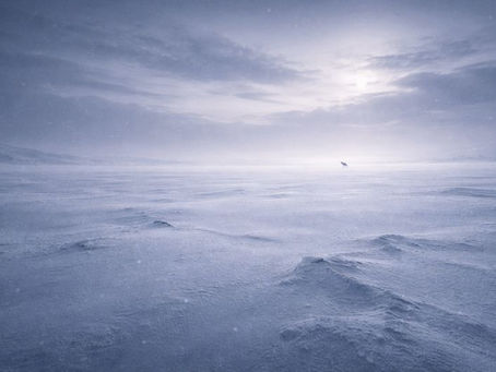 Where the Quiet Speaks Louder Than the Crowd