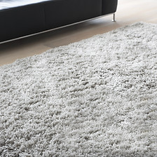 Carpet in Living Room