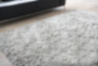Carpet in Living Room