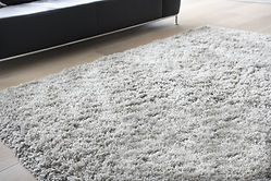 Carpet in Living Room