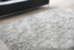 Carpet in Living Room