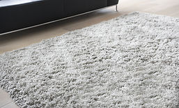 Carpet in Living Room