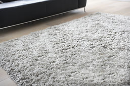 Carpet Fibers