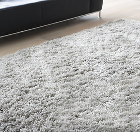 Carpet in Living Room