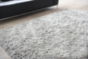 Carpet in Living Room