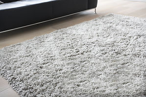 Carpet in Living Room