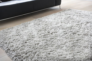 Carpet in Living Room