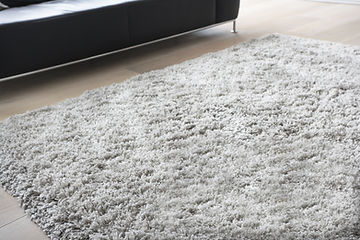 Carpet in Living Room