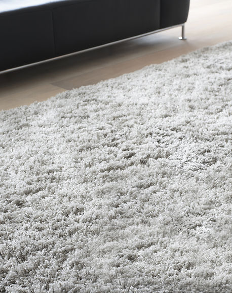 Carpet in Living Room