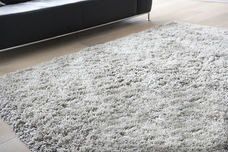 Carpet in Living Room