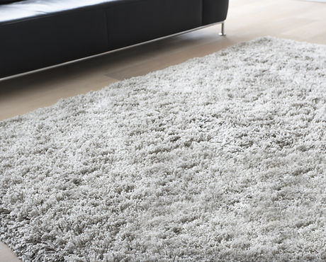 Carpet in Living Room