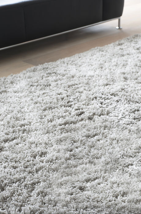 Carpet in Living Room