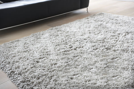 Carpet in Living Room