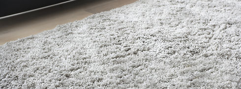 Carpet in Living Room