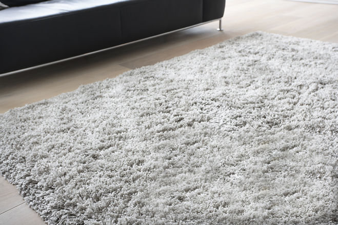 Carpet in Living Room