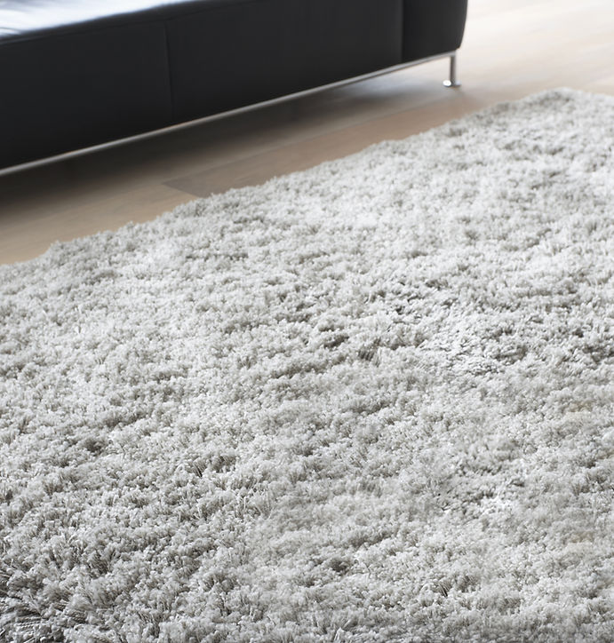Carpet in Living Room