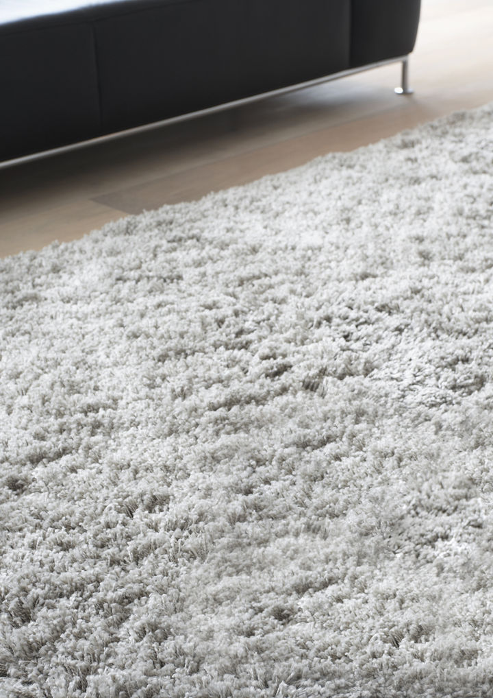 Carpet in Living Room