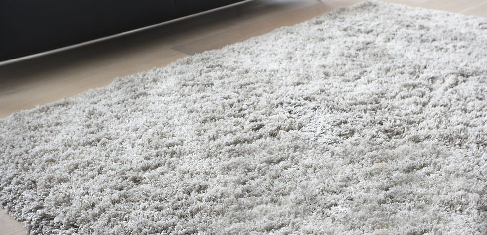 Carpet Installer
