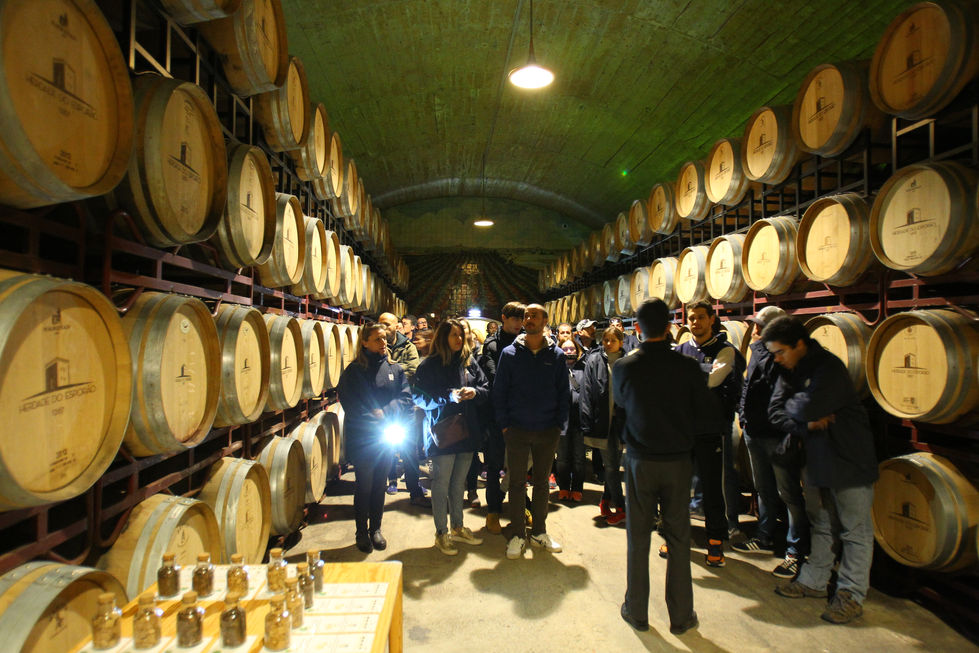 Team Building powered by RTin Group