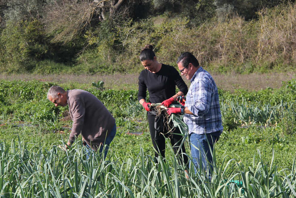 Team Building - Responsabilidade Social powered by RTin Group