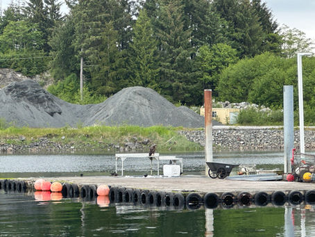 Coffman Cove, Point Baker, Port Protection, Hole in the Wall