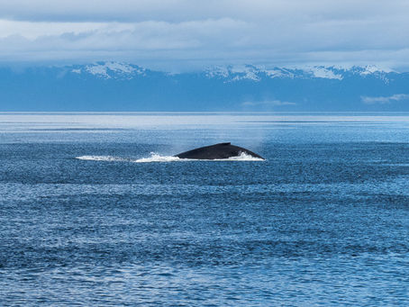North from Coronation Island