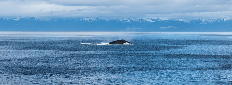 North from Coronation Island