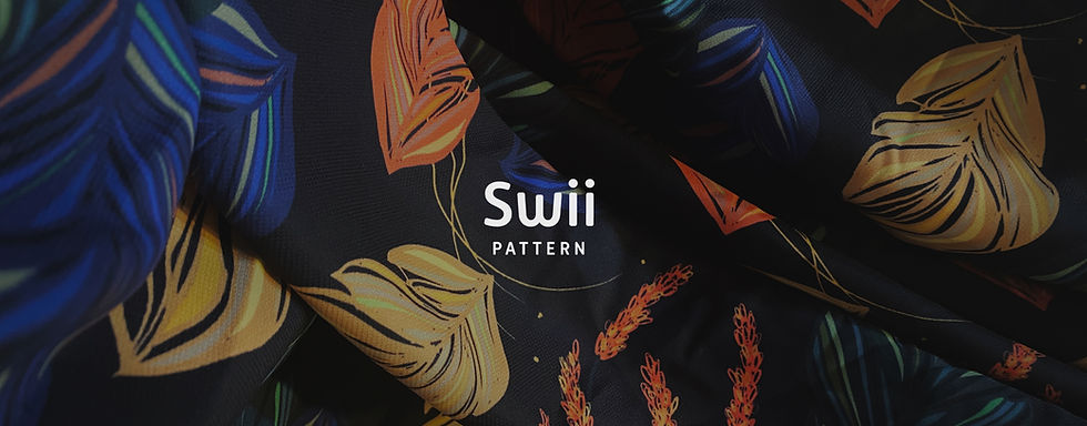 swii cover.jpg