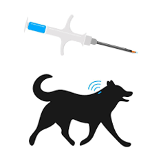 El microchip para evitar perros perdidos no funciona, ya que es secreto, lo complementamos con tatuaje