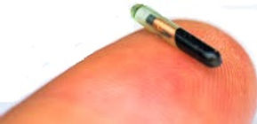 El microchip funciona para reforzar la propiedad del perro y del registro tatuado, solo es absurdamente secreto