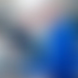 Participarea elevilor la stagii de practica