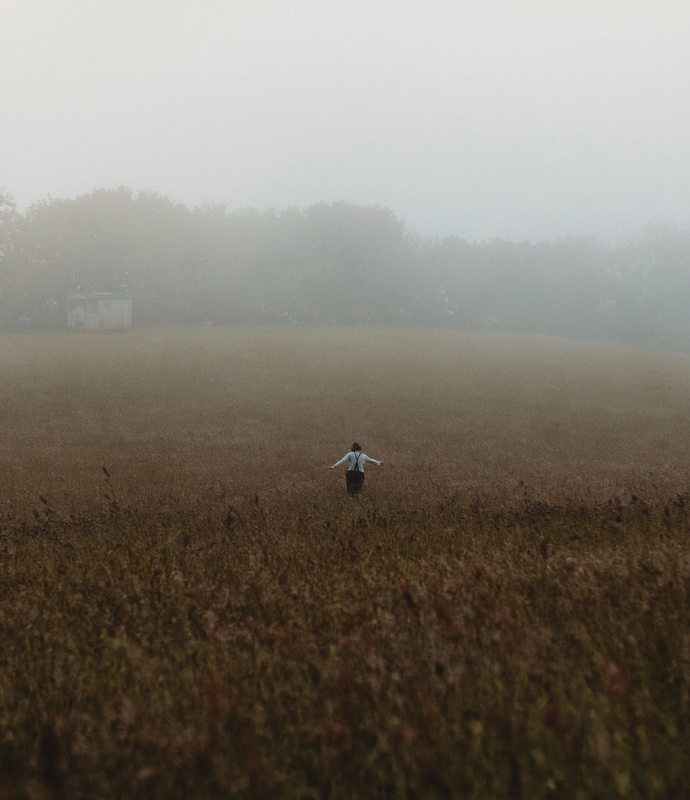 Beauty and Freedom in Coaching  