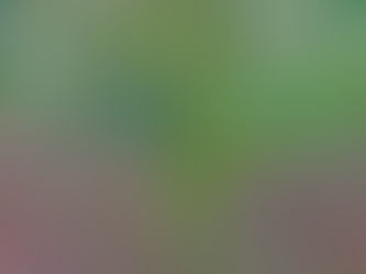 【栽cultivation‧蔣淮哲2021展場紀錄片】