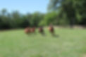 IMG_1514.jpeg