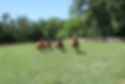 IMG_1514.jpeg