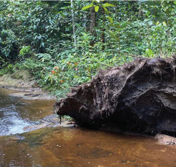 BALNEÁRIO PARAÍSO DO CALANGO AZUL