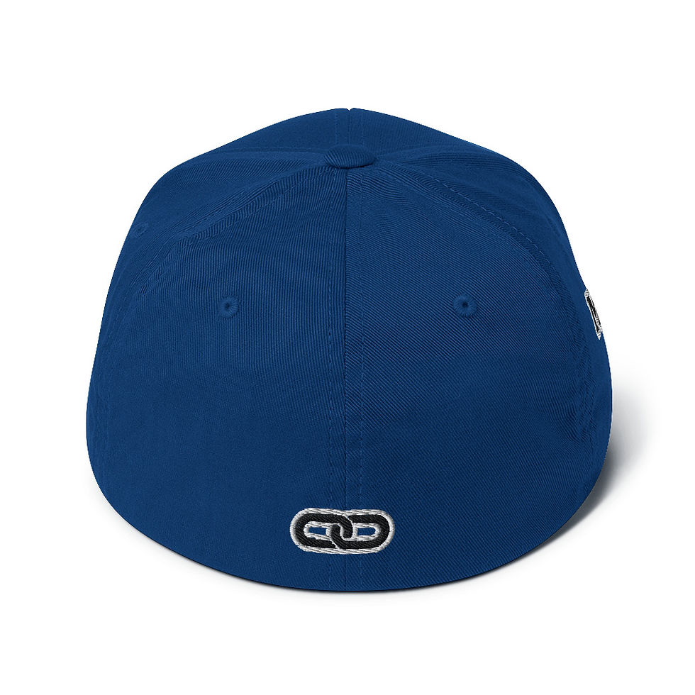 Thumbnail: LIF Flex Fit cap