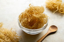 Musgo marino seco dorado, complemento alimenticio saludable rico en minerales y vitaminas utilizado para la nutrición.