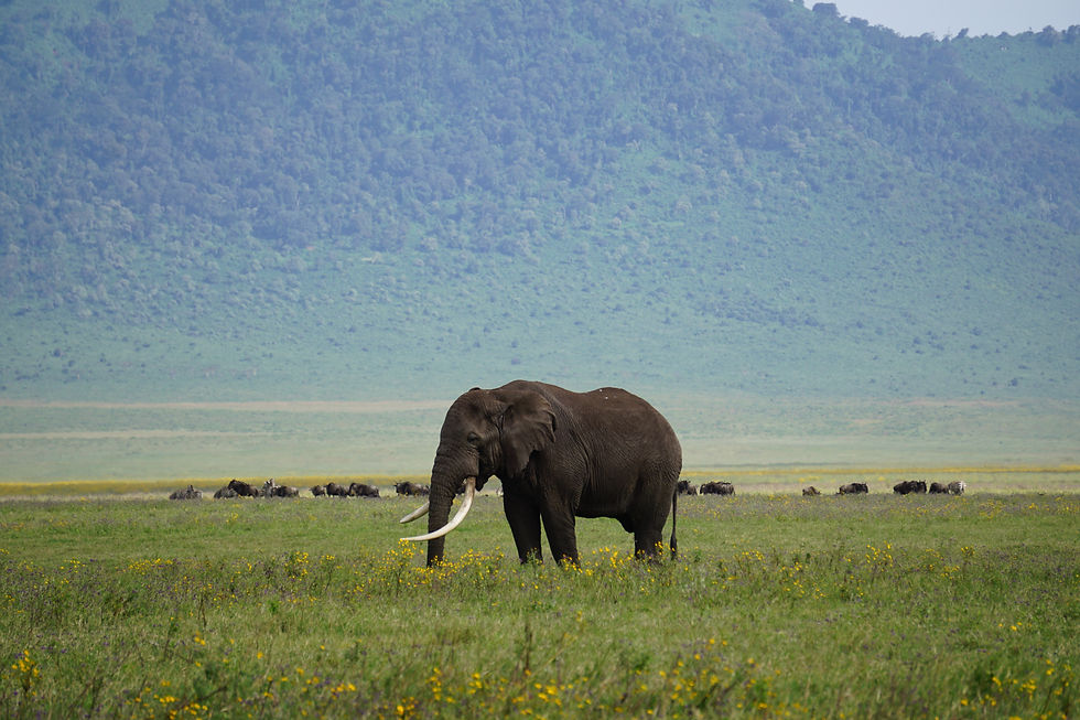 Wide angle view of a luxury safari lodge overlooking the Ngorongoro Crater