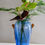Thumbnail: Cobalt blue vase