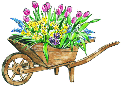Picture20.gif
