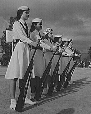 victorycorps.gif