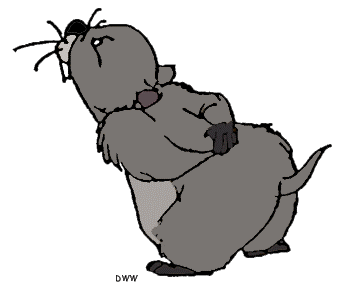 Picture41.gif