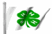 4hflagwave.gif