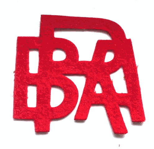 boyrangersofamerica.gif