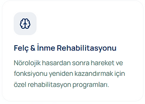 Ekran görüntüsü 2026-10-06 210836.png