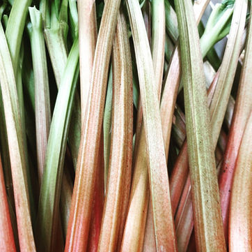 New Year, New Decade, New Seasons!